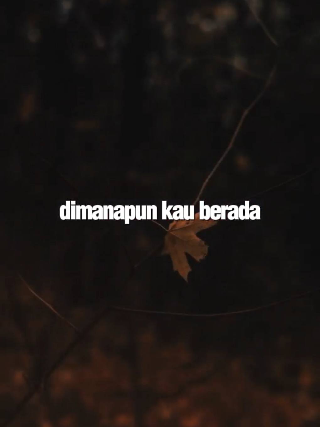 kau selalu ku cinta, walau tak bersama😔 #overlay #templatelirik 