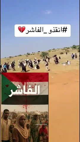 الفاشر الآن ربنا يصلح حال البلد #🇸🇩 