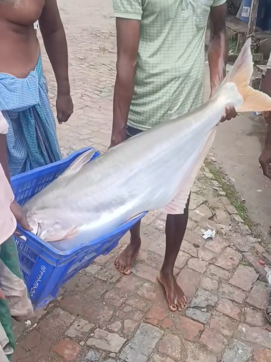 #foryoupage #প্রবাসী জীবন #for you tik tok offcial#for you #attiude gril___taniaha @tiktok# for you  youpage ফের ইউ-তে দেখতে চাই