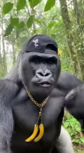 Gorilla rap #sora2 #rap #gorrila #ai 