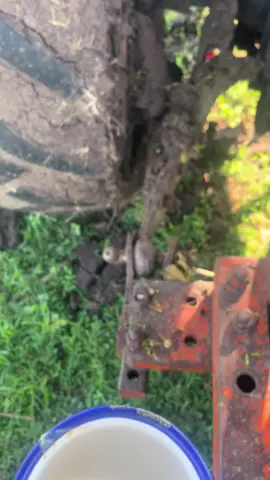 Mud for breakfast 😂!