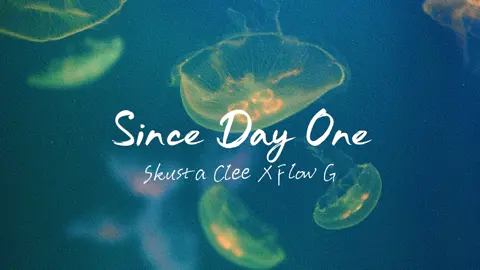 SINCE DAY ONE - SKUSTA CLEE X FLOW G #tunetribe666 