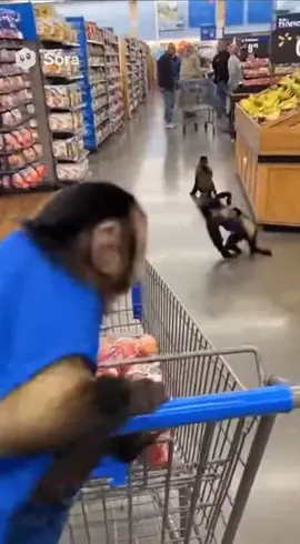 Angry monkeys at Walmart. @Sora @Walmart #monkeys #walmart #banana 