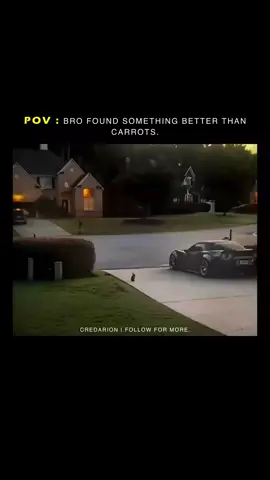 something better than carrot 🥰🥰😂😂 #relatablecontent #forexmeme #creatorsearchinsights 