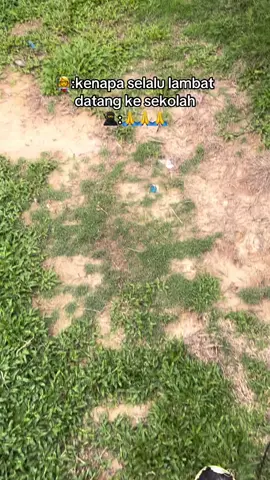 maaf lambat bu 😋 #pakanternak #maaflambat#ayamimport #ayamfilipin🇵🇭 #itupasti 