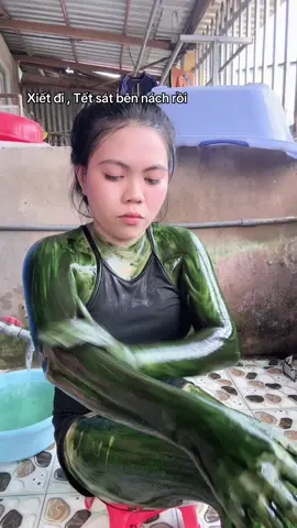 Ủ tảo cùng em nè 