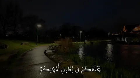 ﴿يَخلُقُكُم في بُطونِ أُمَّهاتِكُم خَلقًا مِن بَعدِ خَلقٍ في ظُلُماتٍ ثَلاثٍ﴾ [الزمر: ٦]#ياسر_الدوسري #سورة_الزمر #اكتب_شي_توجر_عليه 