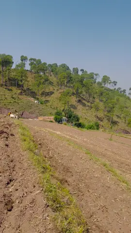 Village view ❤️❤️❤️❤️🌺🌺❤️❤️#villgeview #nepalitiktok #nepalisong #trending #fypシ゚viral 