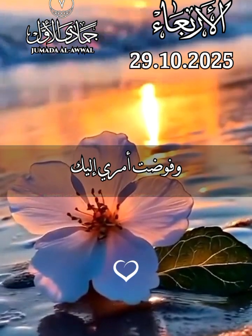دعاء يوم الاربعاء 29/10/2025 🤲♥️ افضل دعاء و حالات و ستوريات يوم الاربعاء جديد 2025 🤲♥️ #دعاء_يوم_الاربعاء #ادعية_اسلامية_تريح_القلب  #حالات_واتس #صباح_الخير  #fypppppppppppppppppppppppp 