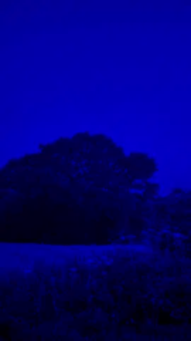 song: “i miss myself” –  @i used to be happy 