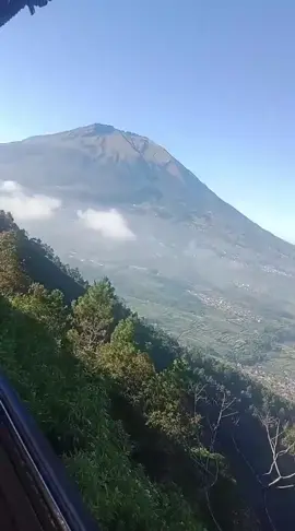 #salamwaras #pantangmenyerah #fyp #fyp #fyp 