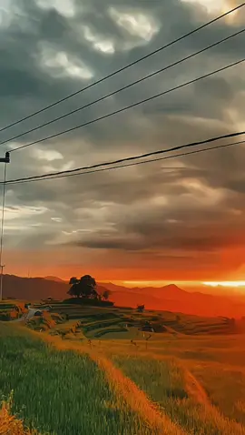 #pemandanganalam #2018 vibes #sadvibes🥀 #nocaption #noticias 