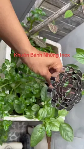 Khuôn Bánh Nhúng Inox Hình Hoa Mai hoặc Ngôi Sao #khuonbanhnhung #viral #xuhuonh #tiktokviral #giadungsusu  @GiaDungSuSu  @GiaDungSuSu 