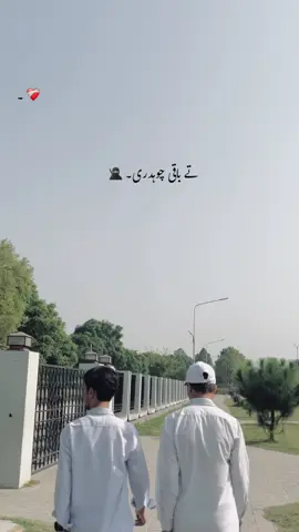 تے باقی چوہدری۔ ❤️‍🔥 #foryou #viewsproblem #poetrystatus #viralvideo 