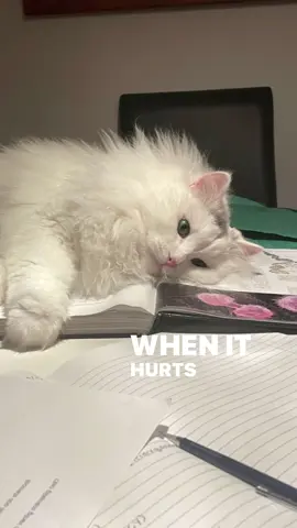 #lyrics #astrid #hurtssogood 