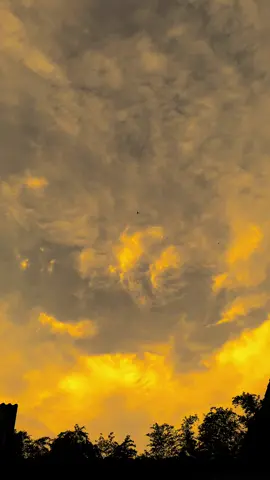 اذهب إلى أبعد ما تستطيع ولا تفكر أبدً أنني أنتظر عودتك 