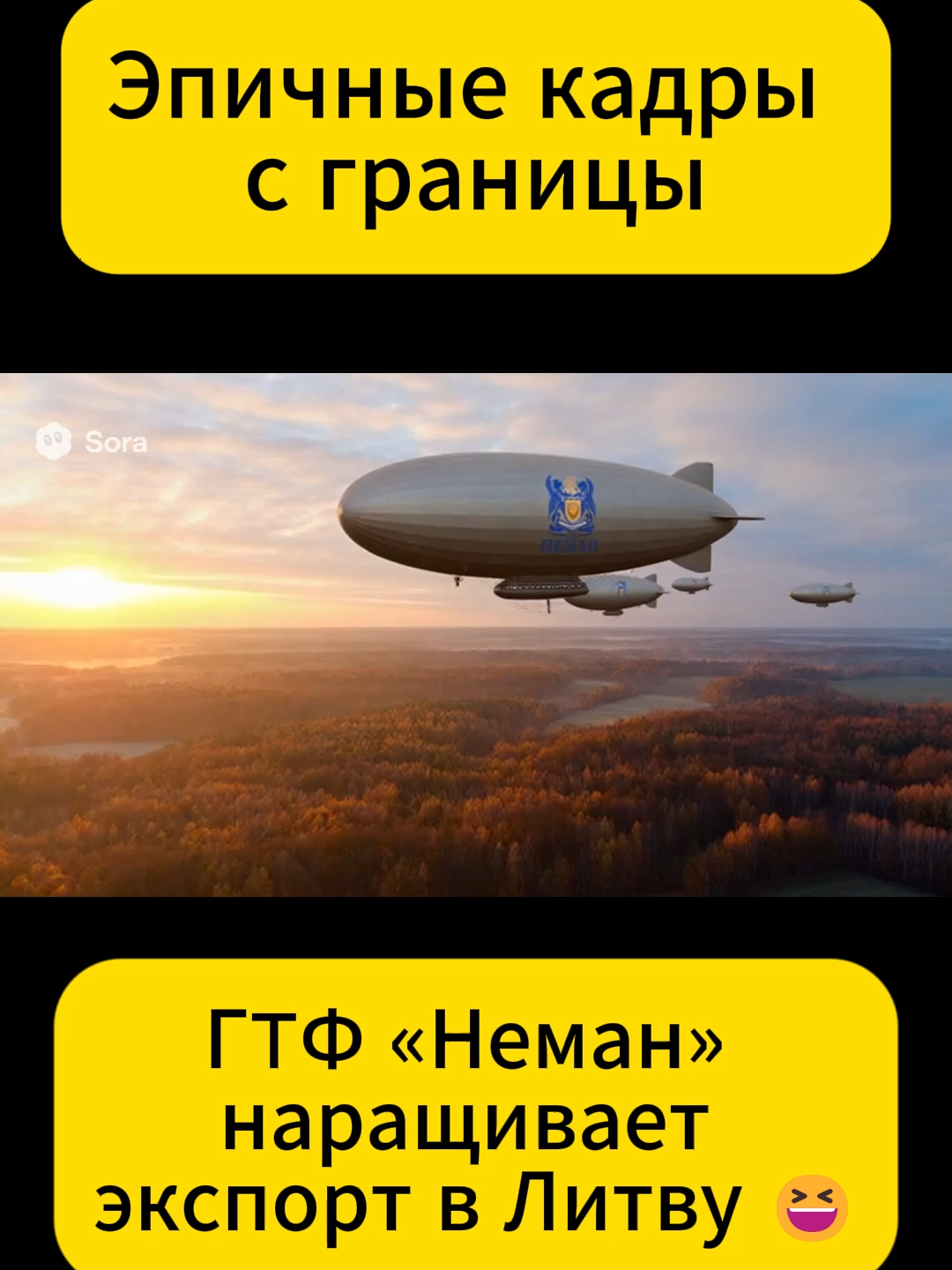 Дирижабли на белоруско-литовской границе. #юмор #шутка #смешно #беларусь #belarus #литва