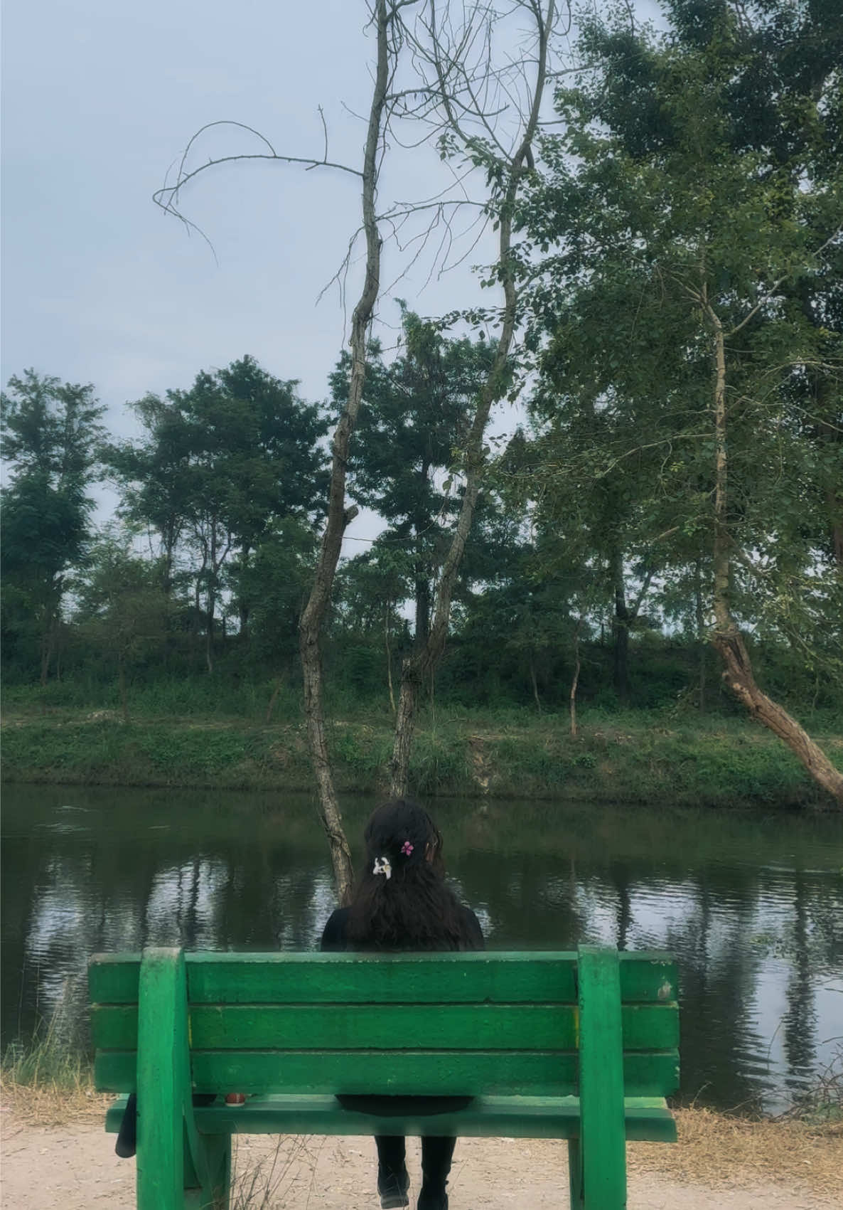 The supremacy of “thodi der bina bole beth jaye” 🌸❤️  #creatorsearchinsights #fyp #Love 