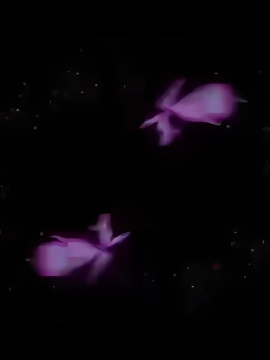 HD 4K BUTTERLFY OVERLAY // overlay credits:@2000sdamsel @ege hue change:me // give credits to damsel!!! // #overlays #viralvideos #viraltrend #viraledits #overlaysviral 