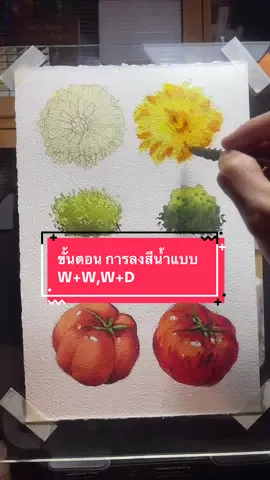 #sunart88 #อาร์ตตัวแม่ #art #watercolor #painting 