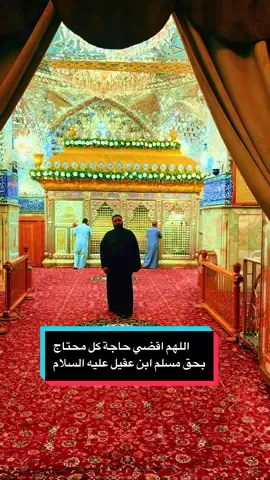 #ياسيدي_ياسيدي_نظرة_لنا_ياسيدي #مسلم_بن_عقیل #ياباب_الحوائج_حاجتي_يمك🤲🤲🤲 #ملاعباس_العقابي 