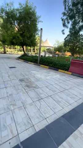 بصير ملكة معضلة #fyppppppppppppppppppppppp #جامعة_الملك_فيصل #مستجدة_تحسب_الجامعة_قهوة_وايباد #kfu #الهفوف 