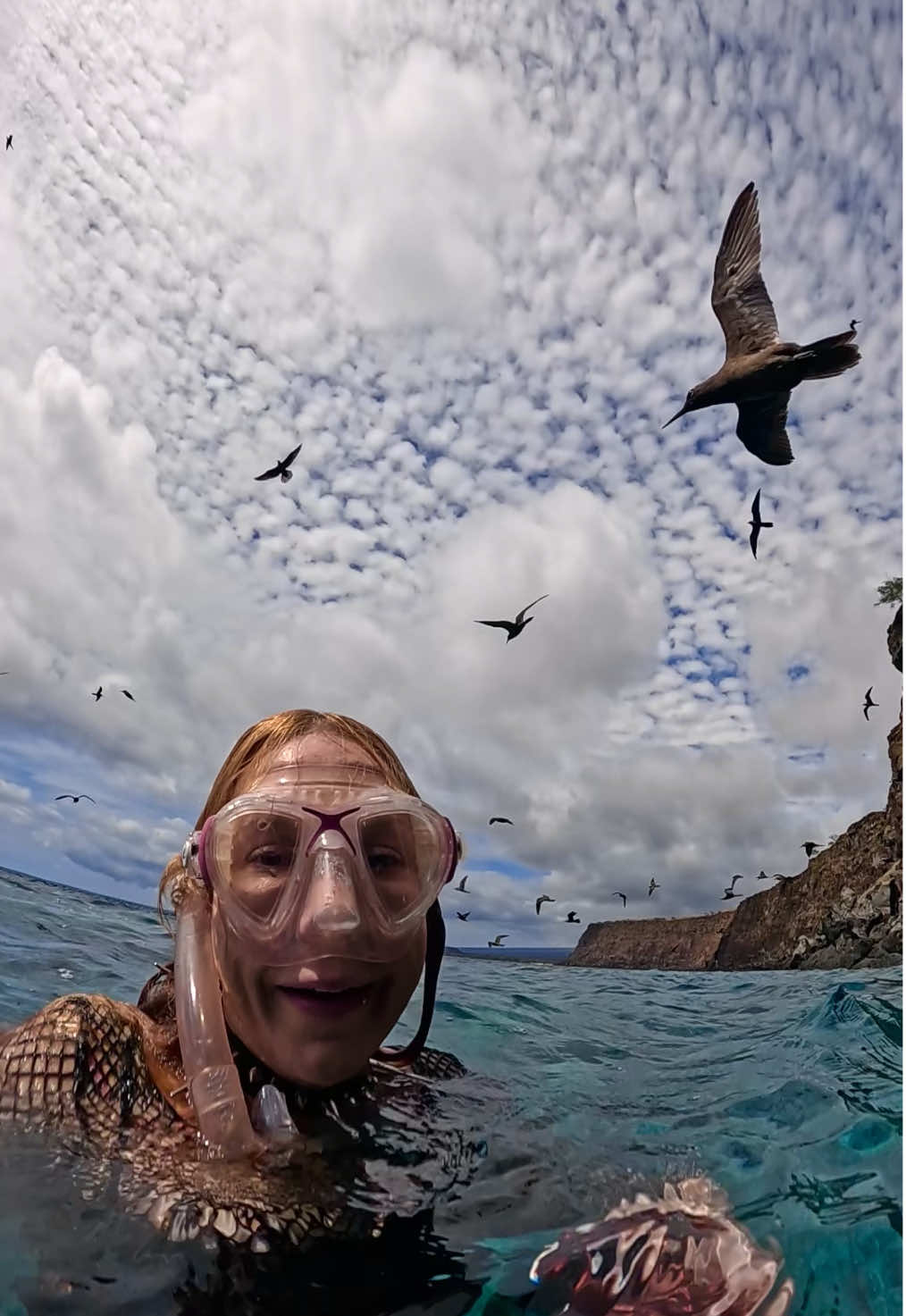 I see some interesting things on dives 🤣🐦‍⬛ #birds #freediver #freediving #ocean #cliff 