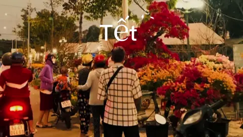 🌼 Tết ơi Tết à...🧨🥰🧧#capcut #tetnguyendan #tet2026 #fyp #vairal 
