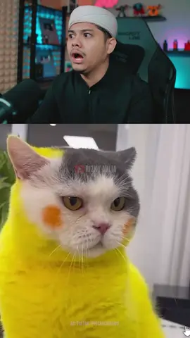 Pikachu dunia nyata🗿#reactmeme #fyp 