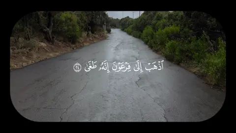 سبحان الله وبحمده سبحان الله العظيم 🤍.#قرآن #quran #محمد_ايوب #صدقة_جارية 