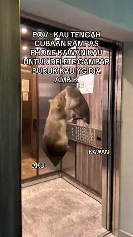 #Capcut #meme #pov gaduh tetap gaduh janji tak tersebar🥲