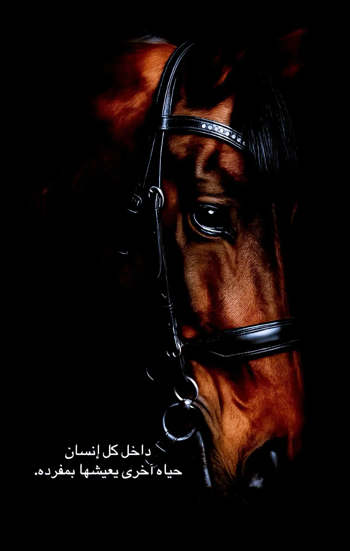 #اكسبلور #fyp 