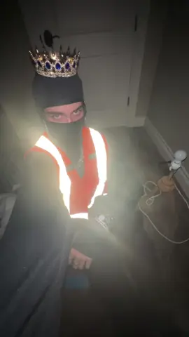 so sparkly hehe #heist #louvre #jewelheist #louvreheist #halloweencostume 
