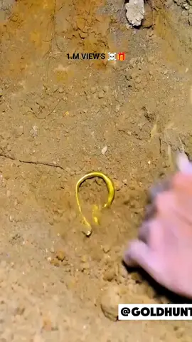 🔥 Testing the World’s Most Powerful Gold Detector — You Won’t Believe What It Found! 💰💎 #GoldHunting #MetalDetecting #TreasureHunt #GoldDetector #FindingGold  write a viral title and Hastings 