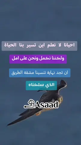 #لايك__explore___ #asad #Love #e #الشعب_الصيني_ماله_حل😂✌️ 