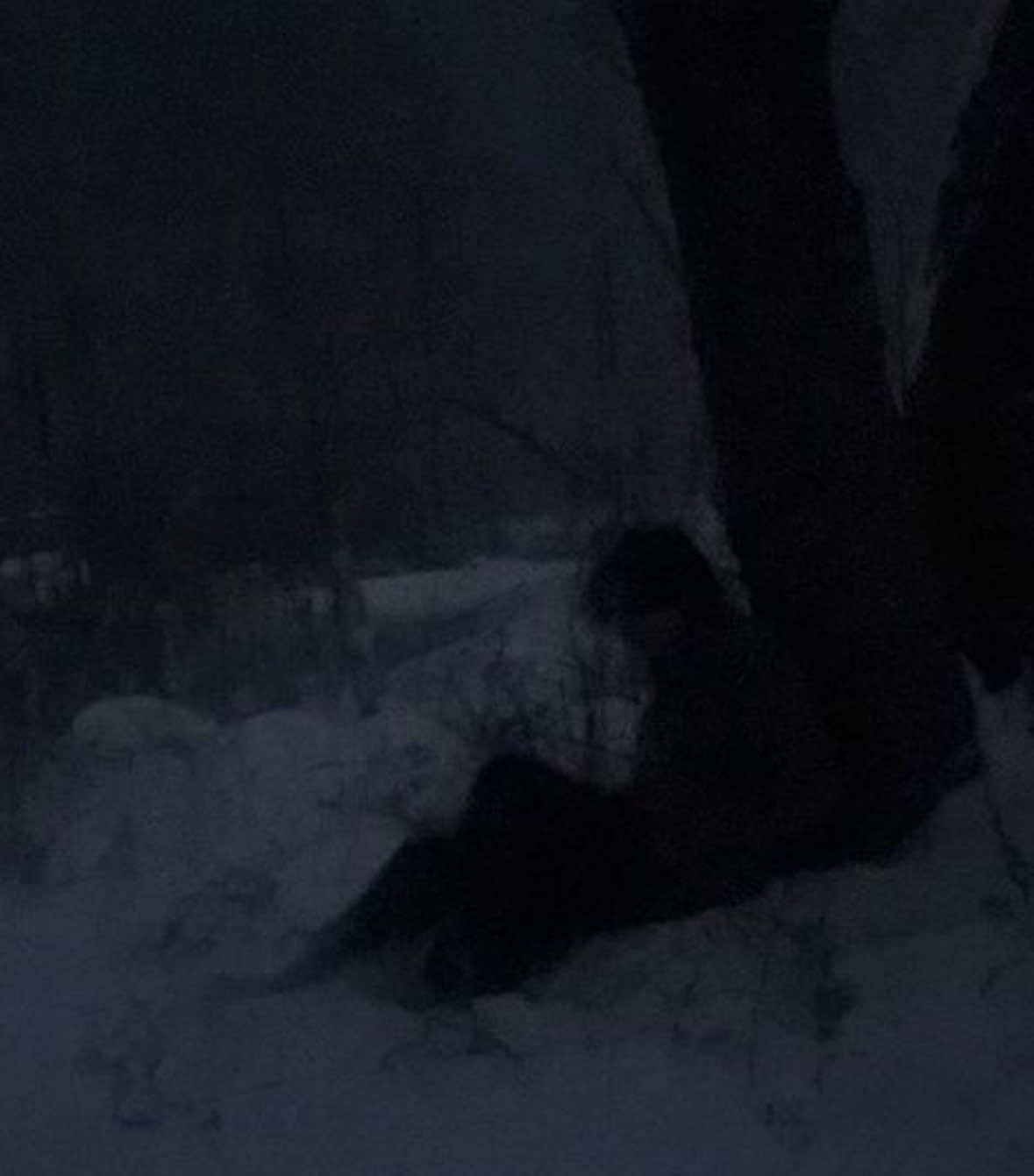 You don’t need to clap back, just elevate. #ascendro 