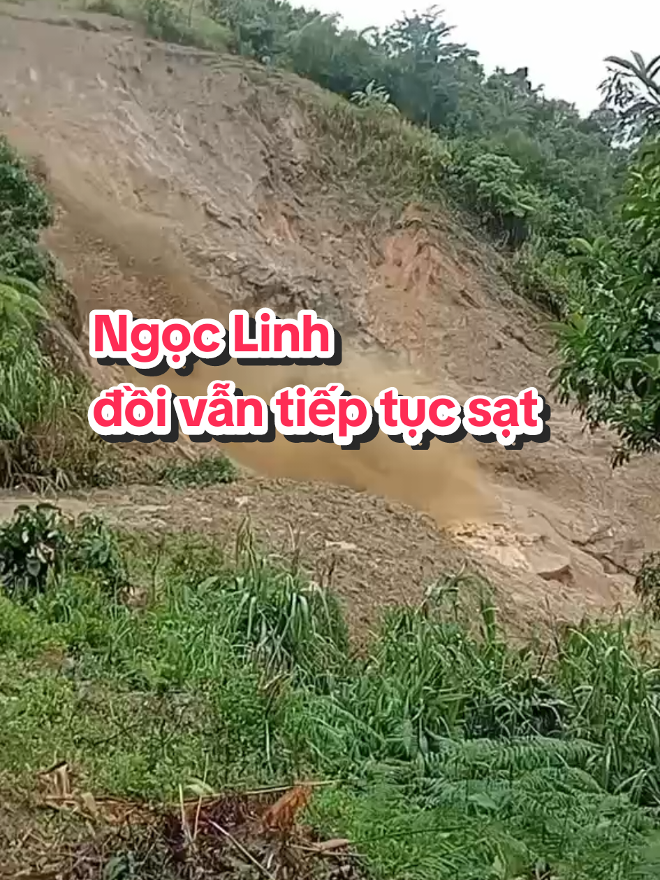 Ngọc Linh đồi vẫn tiếp tục sạt nhiều, hoa màu mất sạch#ngoclinh #KonTum #quangngai #xuhuong #tiktok 