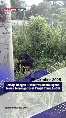 Seorang remaja berusia 14 tahun, Reyhan dilaporkan tersetrum setelah memanjat tiang jaringan listrik (power line) di KM 25, Kepenghuluan Menggala Sakti, Kecamatan Tanah Putih, Kabupaten Rokan Hilir, Riau, Senin, 27 Oktober 2025.  Korban diketahui merupakan anak dengan disabilitas mental. Tidak ada saksi mata yang mengetahui kejadian awal, hingga akhirnya warga menemukan korban sudah tergeletak dalam kondisi tak bernyawa di bawah tiang listrik, mengutip dari riauonline.com. 🎥@viralpekanbaru  Simak informasi lebih lengkap di video yaa #pekanbaru #riau #pekanbarulovers #riauupdate #rohil #rokanhilirriau #riau #riauhits #treandingreels #tersengatlistrik #phr #viralpekanbaru 