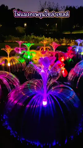 ไฟแมงกะพรุนโซล่าเซลล์ ไฟปักสนาม ไม่ต้องเดินสายไฟ ค่าไฟ 0 บาท ใช้พลังงานแสงอาทิตย์ #ไฟปักสนามโซล่าเซลล์ #ไฟแมงกะพรุนโซล่าเซลล์ #ไฟตกแต่งโซล่าเซลล์ 