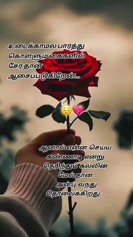 உடைக்காமல் பார்த்து கொள்ளும் கைகளில் சேர தான் ஆசைப்படுகிறேன்... 😔💔 ஆனால் என்ன செய்ய கண்ணாடி என்று தெரிந்தும் கல்லின் மேல் தான் அன்பு வந்து தொலைக்கிறது... #frypgシ #viraltiktok #100k #yyyyyyyyyyyyyyyyyy #creatorsearchinsights 
