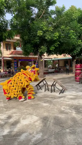 🐉 LSR HOÀNG TÍN🐲Bình Định🇻🇳❤️