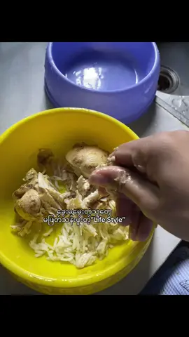 #fyppppppppppppppppppppppp #foryou #foryoupage #fyp #fypシ゚viral 