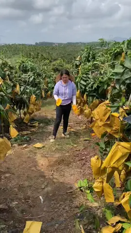 #foryoupageofficiall #foryoupage❤️❤️ #100ksheres #100kfollowers #100klikes 