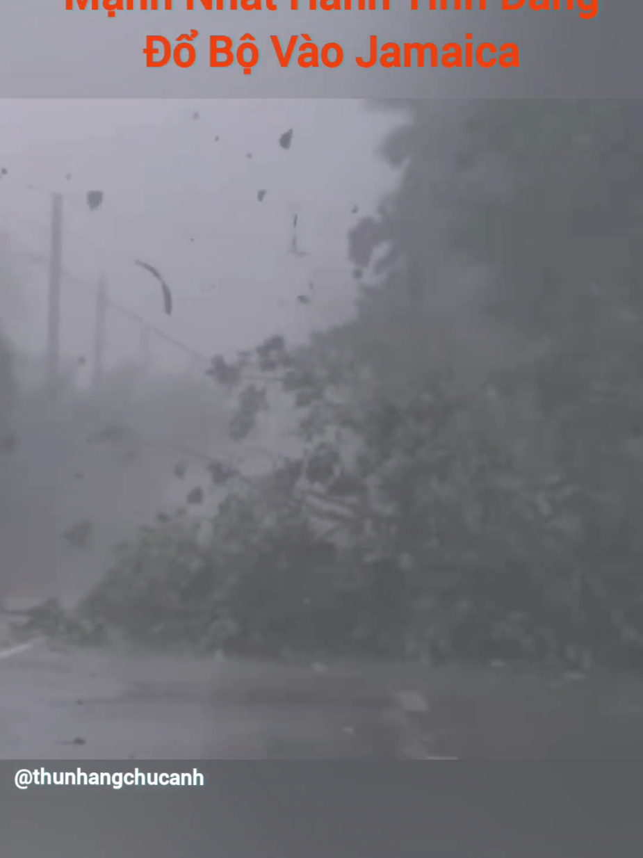 Bão Melissa cơn bão mạnh nhất hành tinh từ đầu năm đang đổ bộ vào Jamaica với sức gió 225km/h. Cuba hiện đã s.ơ t.á.n 650.000 người dân. #news #melissa #xuhuongtiktok #tintuc #thunhangchucanh 
