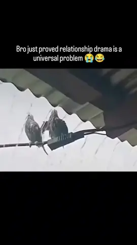 Na universal problem be this one..😂🤣🤣#WomenOfTikTok #babygirl #funnyvideo