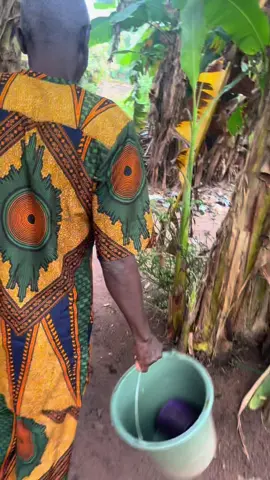 I really lean alort from my uncle about travel agency #fypシ゚ 