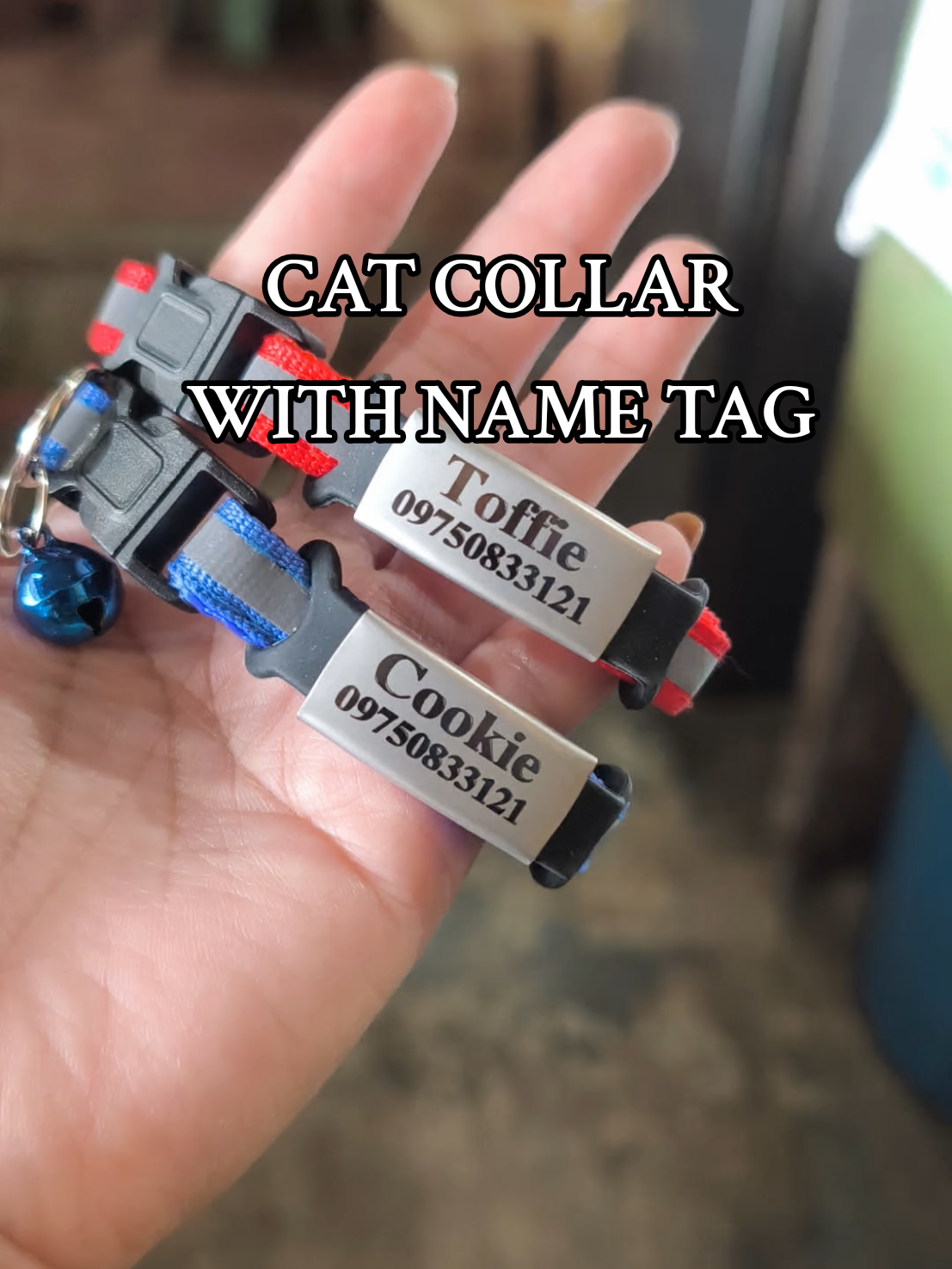 Kung takot mawalan ng alaga pagawa ka nito pet collar free engrave ang name tag #catcollar #breakawaycollar #pettag 