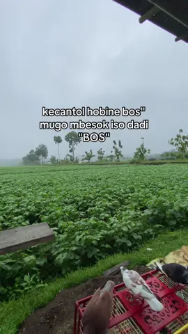 amin pa bos🔥#skrteam #mkppurworejo #bayonetskr #p3mkbi #kolongbebas #inlapakwetrust #fyppppppppppppppppppppppp 