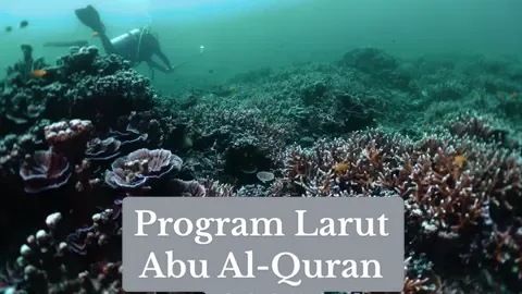 PROGRAM LARUT ABU AL-QURAN PERINGKAT NEGERI JOHOR 2025 YAM Tunku Abdul Rahman Al-Haj Ibni Sultan Ibrahim, Tunku Panglima Johor berkenan berangkat ke Program Melarutkan Abu Al-Quran Peringkat Negeri Johor pada 22 Julai 2025. Berangkat sama, YAM Tunku Abu Bakar Al-Haj ibni Sultan Ibrahim, Tunku Putera Johor.  Tunku Abdul Rahman dan Tunku Abu Bakar turut berkenan melakukan selaman skuba bagi melarutkan 60 kilogram abu Al-Quran ke dasar laut berhampiran Pulau Lang, Mersing.  #theroyaljohor #royalpressoffice #johor