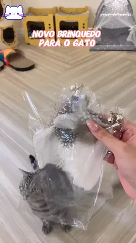 Seu gato entediado vai pirar com isso! #tiktokshop #fyp 